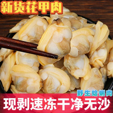 新鲜速冻蛤蜊肉冷冻蛤蜊文蛤贝壳肉冷冻花甲肉海产无沙冷冻海鲜