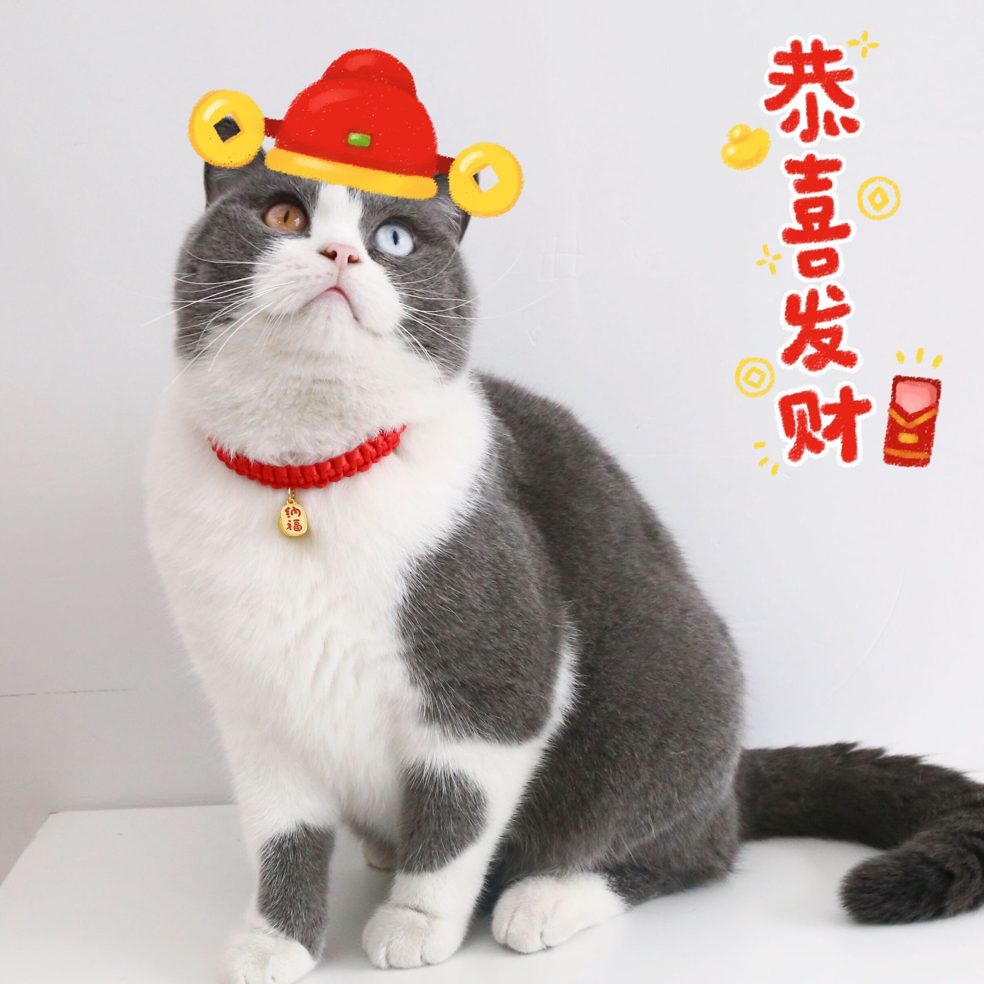 Mascotas de cuerda roja Año Nuevo para atraer dinero collar de campana gatos perros auspiciosos Nafu Celebrando Accesorios de collar del Festival de Primavera