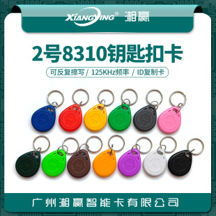 No.2 8310 Keychain Card 8310 Card 8310 Access Card ID Blank Card 8310 Firewall ID Card