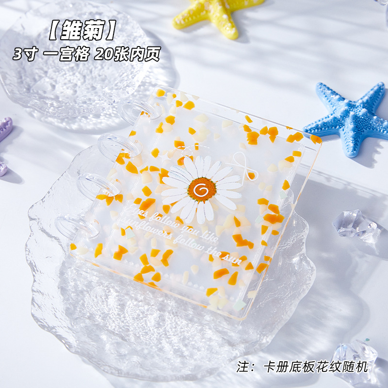 데이지