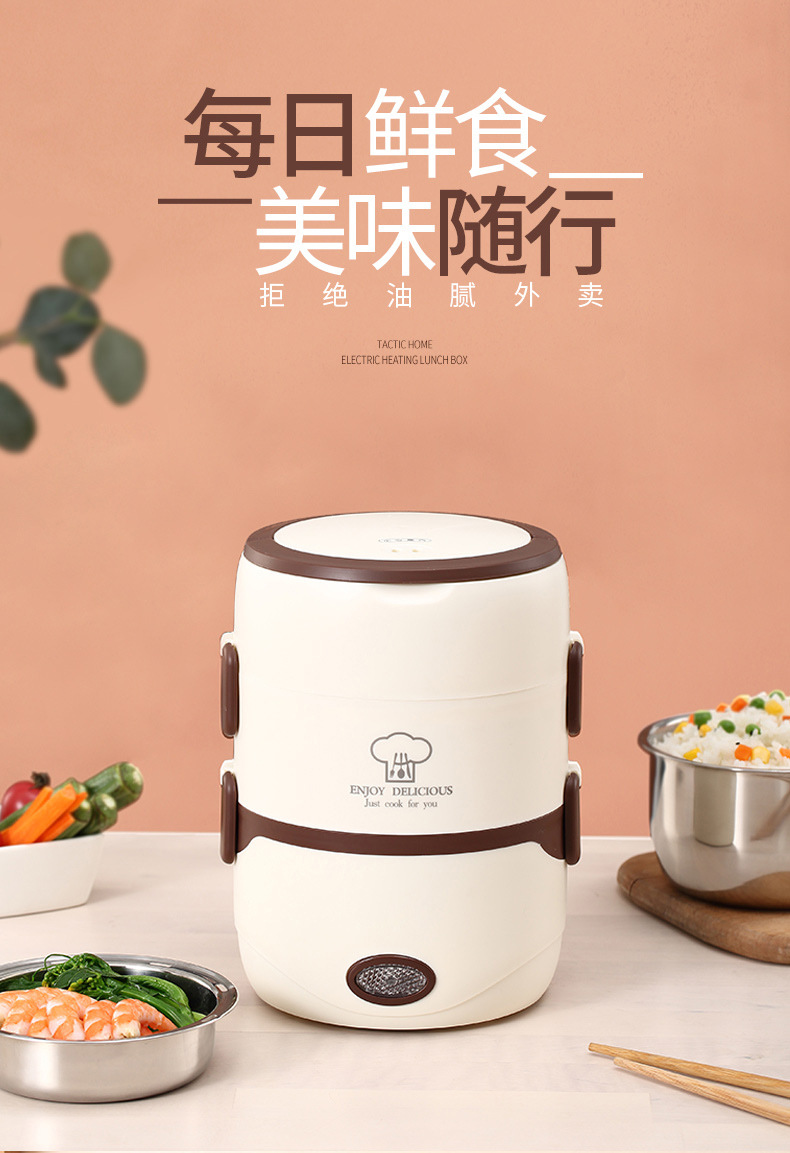 加热饭盒KGZZ-2178P_K