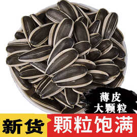 生瓜子葵花籽新货薄皮363特大颗粒内蒙古5斤散装新鲜现炒原味瓜子