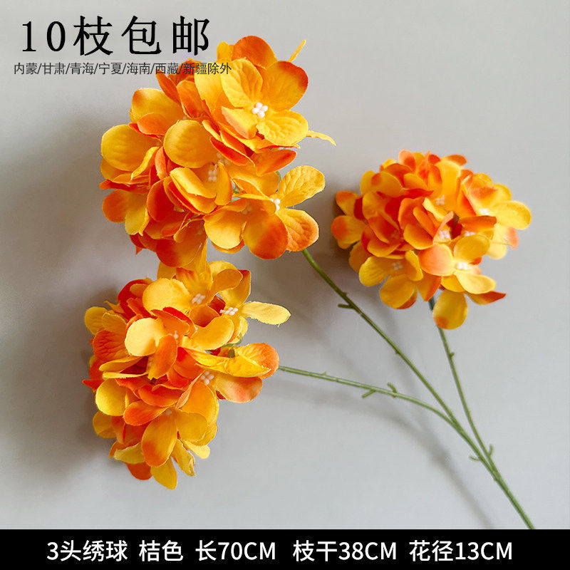 三头绣球