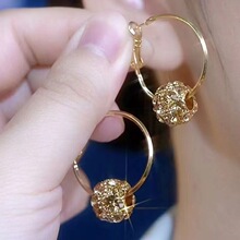 新款气质轻奢咖色钻球圆圈耳环女高级感爆款时尚耳圈精致百搭耳饰