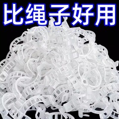 緑の果樹植物固定クリップ、つる固定具、苗つるサポートロッド、果物と野菜の苗吊りクリップ
