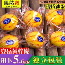 四川安岳黄柠檬新鲜5斤一级果皮薄多汁柃檬香水整箱包邮5当季批发