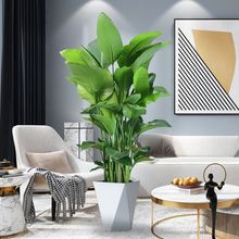 �����B�������Կ͏d�҃Ⱥ��B���ܾGֲ�k�����p�ݾGɫֲ���Q���m�t