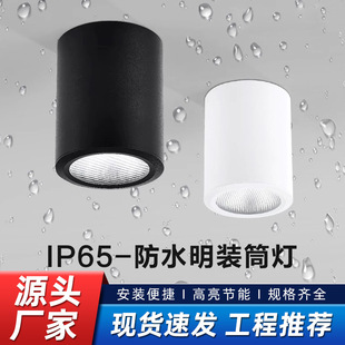 IP65���b�컨��� �����^���A����led��ˮͲ��IP65��ˮ���@ɫָ��