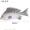 Gaji fish gray