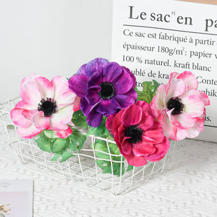 �ߙn�������滨�yɏ����c·���Ƶ��b��^�̼ٻ����l