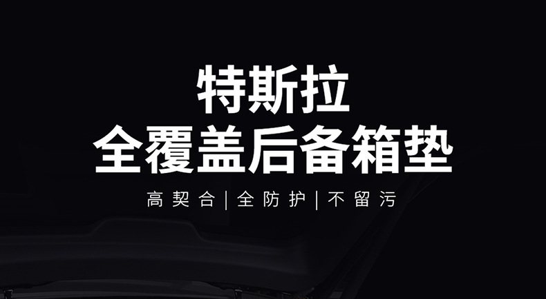 Suitable for Tesla Model Y/3 Front and Rear Trunk Mats, Leather Version, Full Coverage, Special Upgraded Version for Model Y/3, Full Surround