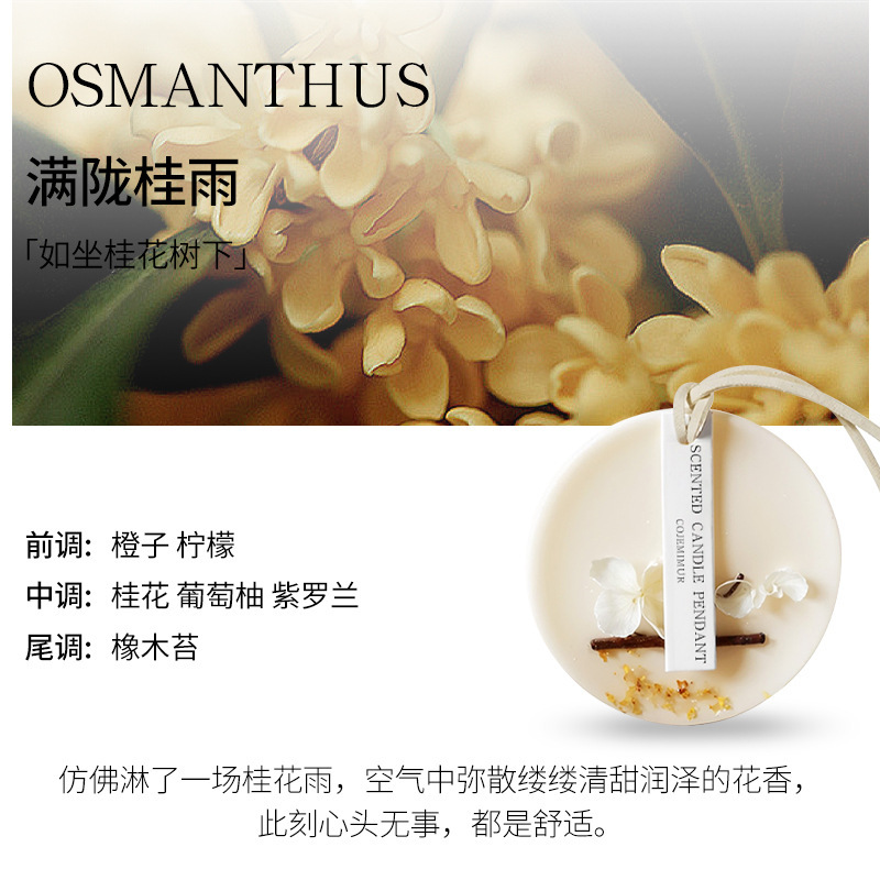 新型桂花箪笥香薫石膏車載固体持続的な香り室内消臭空気清浄剤お土産|undefined