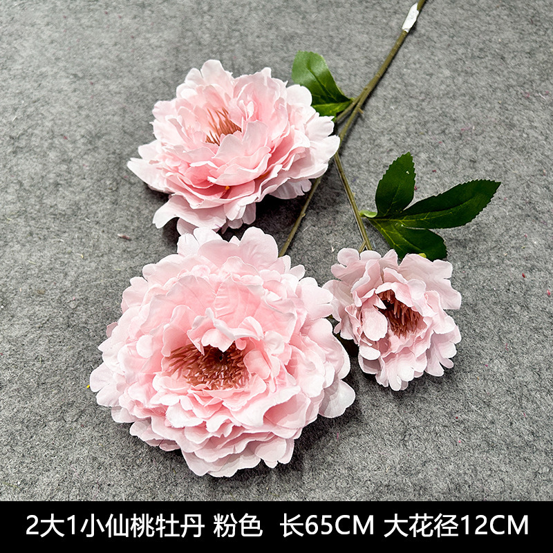Fairy Peach Peony 2 large 1 small pink