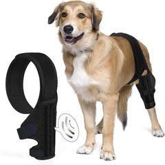 ペットの猫の保護具、犬の脚の怪我補助ベルト、犬の脚保護カバー、犬の膝リハビリテーション脚保護カバー1
