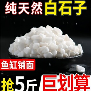 �Z��ʯ��Ȼ�껨ʯС��ʯ�Ӷ���������Ի���ͥԺ�쾰�b�ɫʯ�^