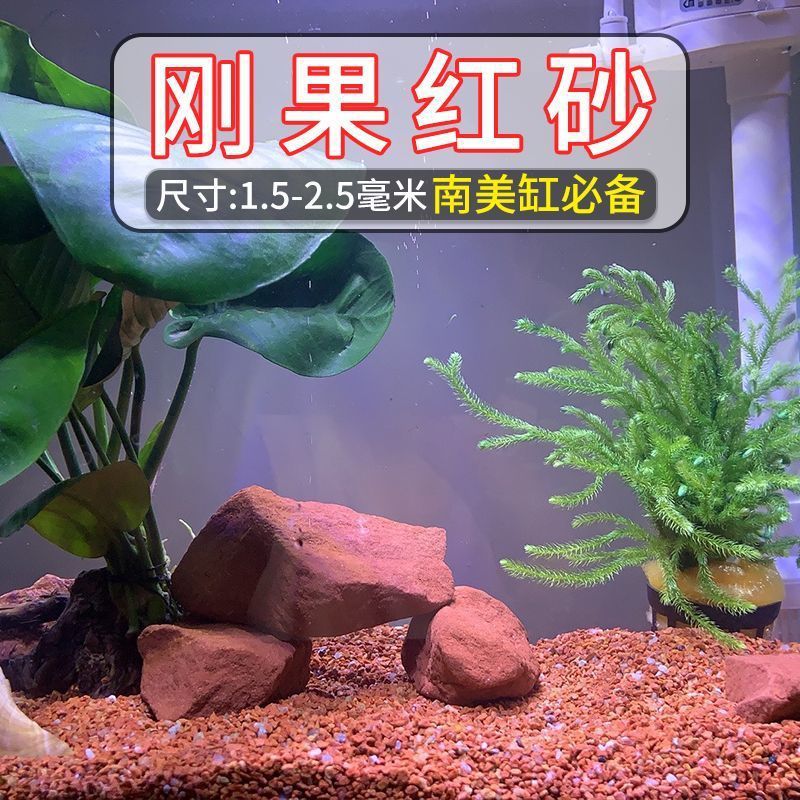 South American tank: Congo red sand [1.5-3mm]]