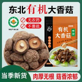 东北有机香菇干货特产级蘑菇金钱菇非新鲜非野生椴木大香菇冬菇