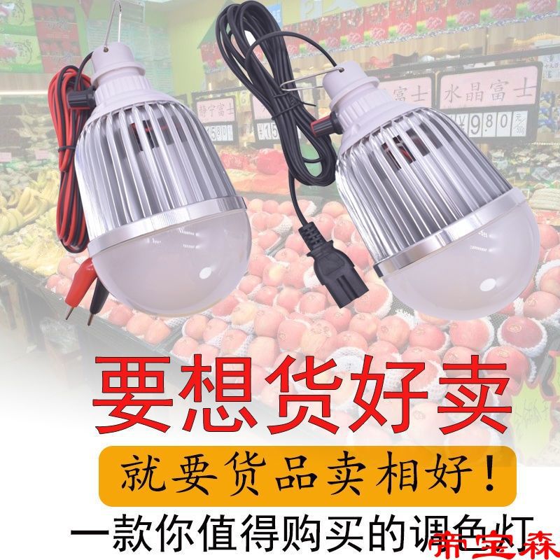 水果灯12v电瓶专用可调色led生鲜灯48v电动车变色灯水果摊位照明|ms