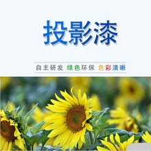 ͶӰΌTόIĻӰԺĻĻչͶӰ