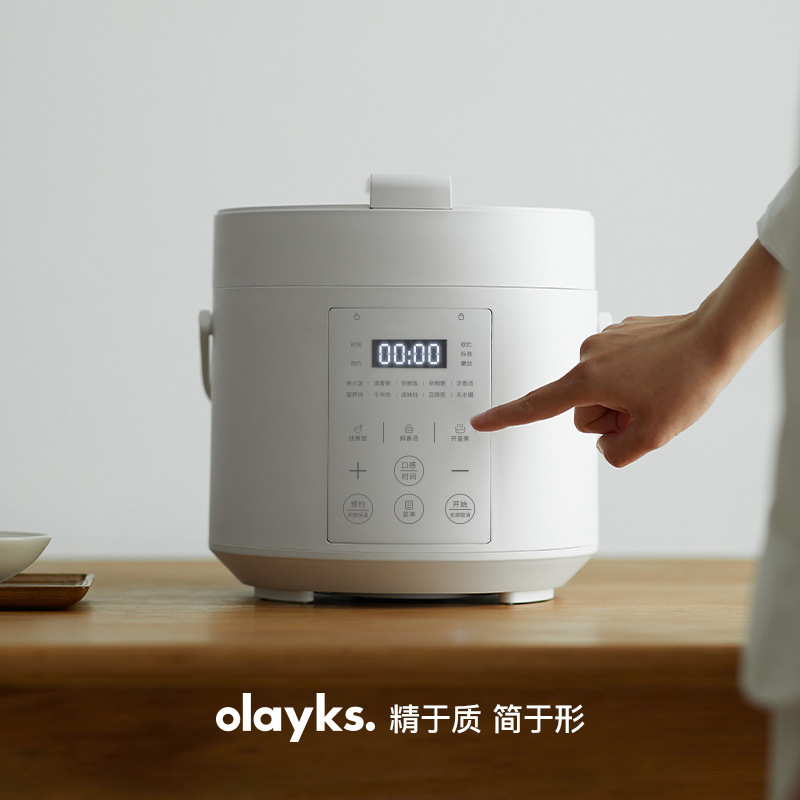 olayks 未塗装電気圧力鍋家庭用小型ミニ 2L2.5L 圧力鍋炊飯器|undefined