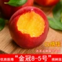 南方早熟嫁接盆栽桃树苗