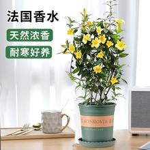 ������ˮ�������҃��ļ������h����ͥԺ����ֲ���