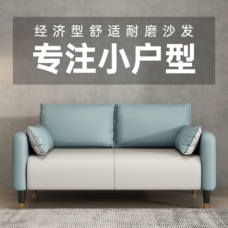 Sofá de piel de gato pequeño tipo sala de estar doble triple alquiler apartamento simple tienda de ropa en línea popularidad pequeña