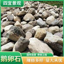 批发园林景观石鹅卵石溪坑石河岸石黄色鹅卵石花园布置可用