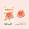 Today’s Flower Appreciation Series-Xianting Camellia 30/piece