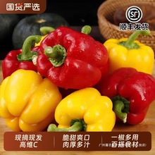 ������ˮ�����ʽ��t�S�����r��