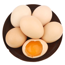 【日常】散養土雞蛋 營養批發農家五谷鮮雞蛋現發整箱代發快抖