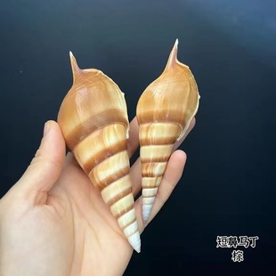 �̱��R���� ��Ȼؐ�������~��ˮ���쾰�b˱��ղ��ֹ�ˇƷ����
