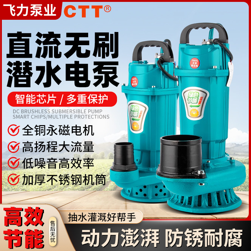 无刷直流潜水泵大流量48v60v72V浇菜3寸4寸小型电动电瓶车抽水泵