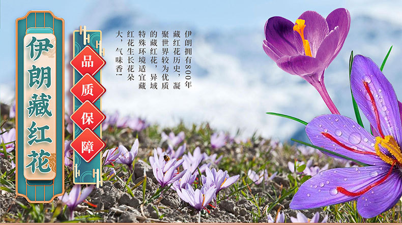 undefined藏红花定制盒装/伊朗藏红花/西藏藏红花/西红花大货