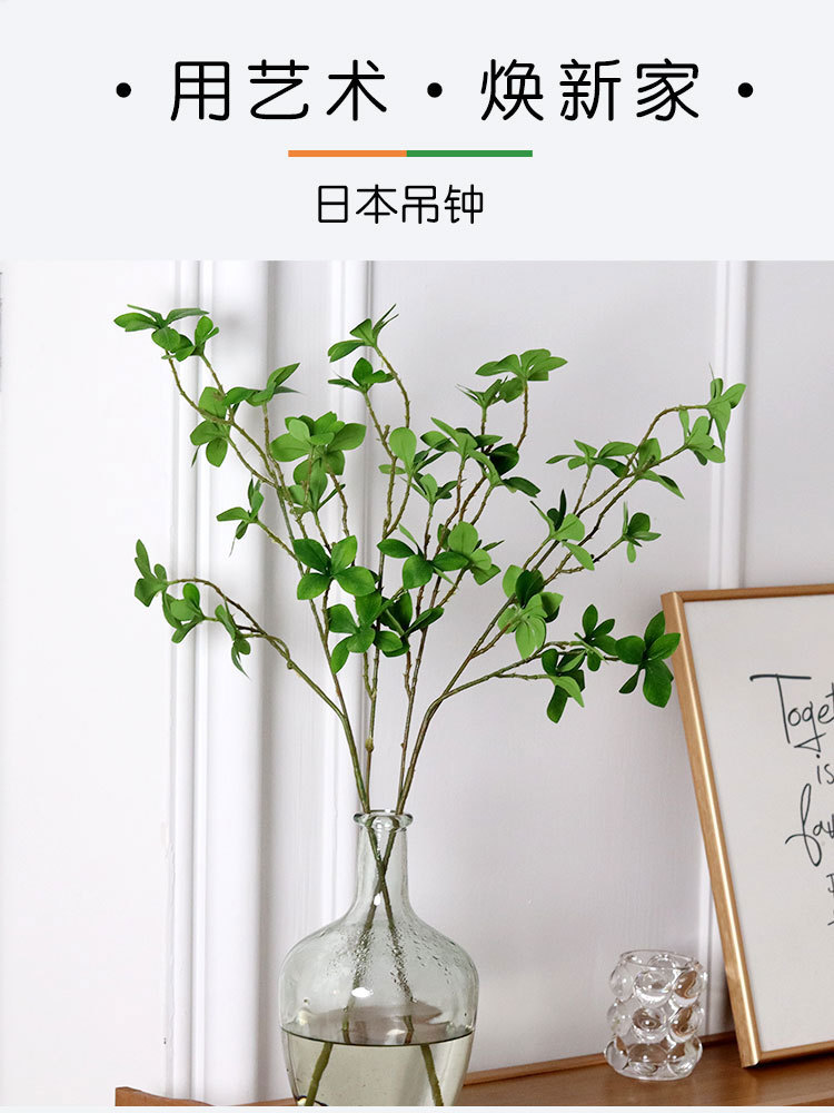 日本吊钟_01.jpg