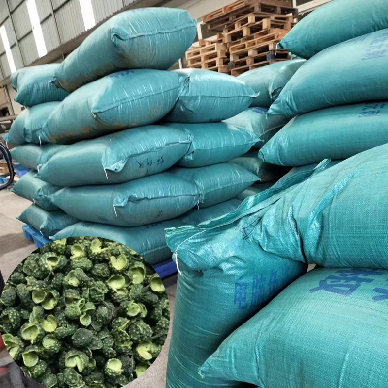 微信图片_20240610101459_副本