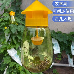 ��ω�T������ω�T�����ό�ω�T�����Ϲ���ω�T��ճω����ω����