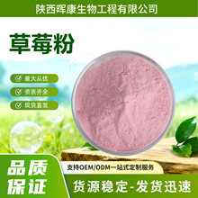 供应草莓粉 烘焙用草莓粉 可定制 草莓粉小包装 陕西晖康生物