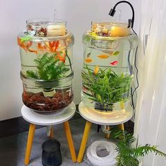 高清透明矿泉水桶养鱼创意改装支架水族箱一键排水懒人养鱼