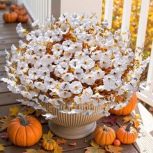 ＾젿ţ~滨,12ɫţҾbֲ