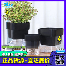 �S�ҬF؛ ͸���p��G���˻���ȫ͸���������❲ˮ��ˮ���ϻ������l