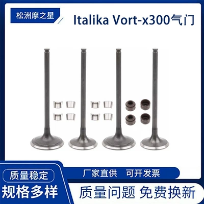 Motorcycle Parts Valve Suitable for Italika Vort-X300 300R Vortex 300 Oil Seal (Valves and components)