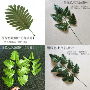 ��������ɢβ���~���F���~��˹�~����ֲ��Ҿ��b�c�廨�ȼ���