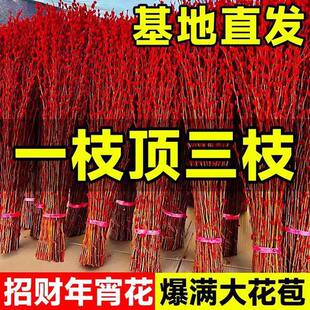 �y���滨�r֦�ɻ��[���҃�ˮ��Gֲ������t��Ͱ��ؔ������������