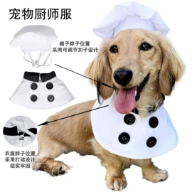 狗狗服装;宠物帽子;宠物围巾