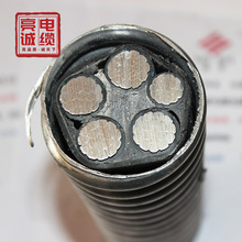 ���\��|����AC90 (YJHLV8) 4*150�B�iʽ�Ͻ��z�b�o�o���X�Ͻ��