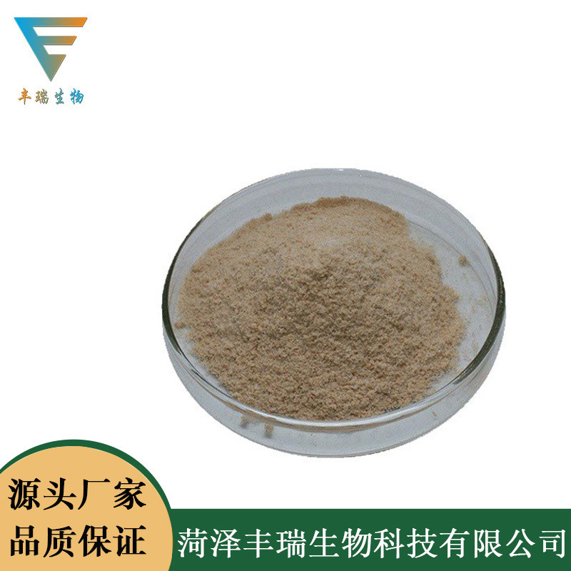 现货供应 食品级 碱性蛋白酶20万u/g食品添加剂碱性蛋白 量大价优