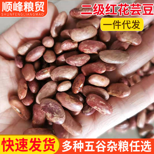 紫花豆圖片 海量高清紫花豆圖片大全 阿里巴巴 紫花豆圖片 海量高清紫花豆圖片大全 阿里巴巴