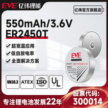 EVE亿纬锂能 ER2450T电池一次性容量500mAh胎压监测锂电池 3.6V