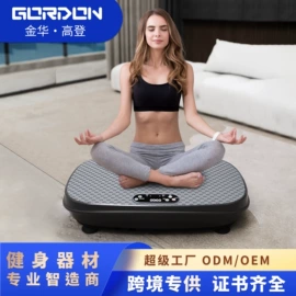 其他健身器材;其他搏击用品;健腹器